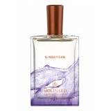 GINGEMBRE